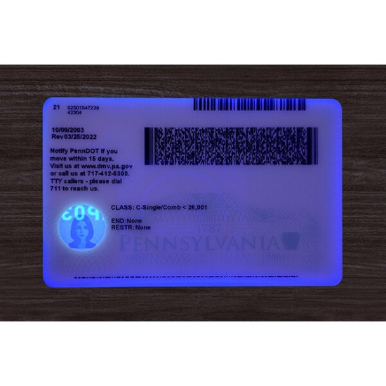 Pennsylvania (PA) Fake ID (2025 Version)